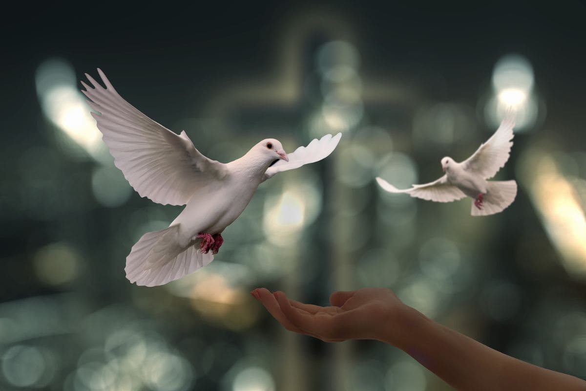 Frieden auf Erden! | Der Blog von Alexandra Kind